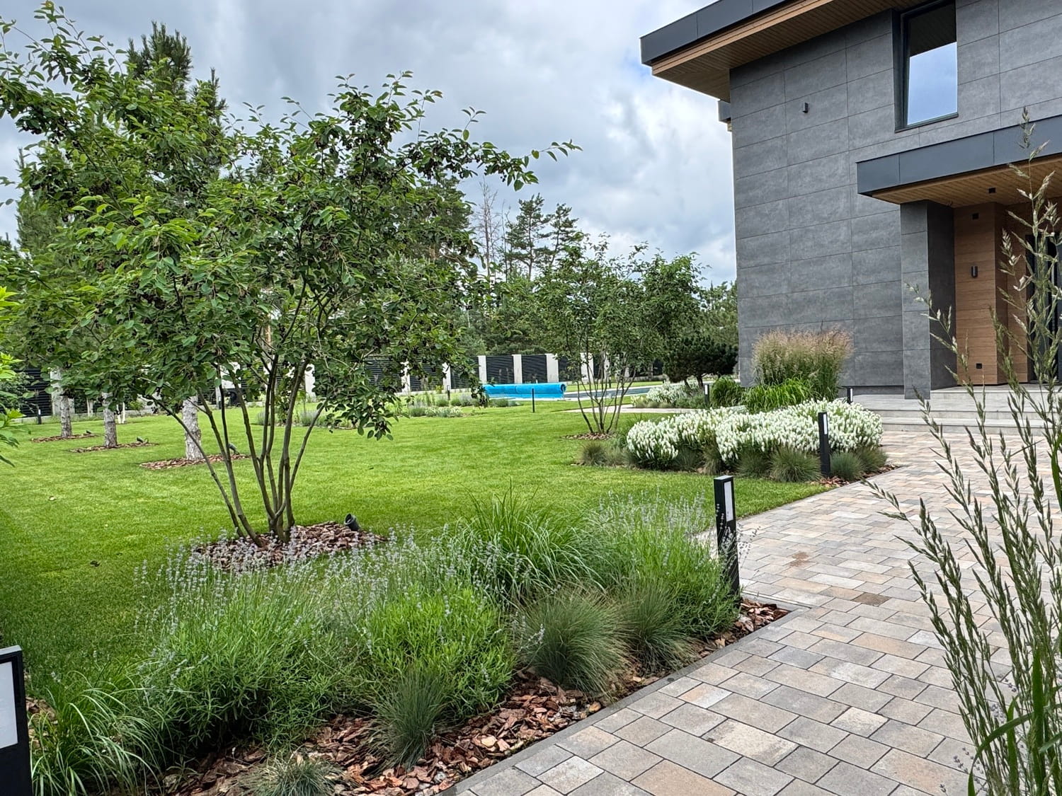 Ірга в дизайні саду