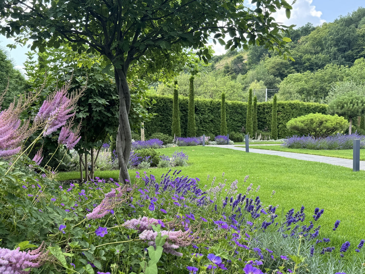 Газон зона отдыха