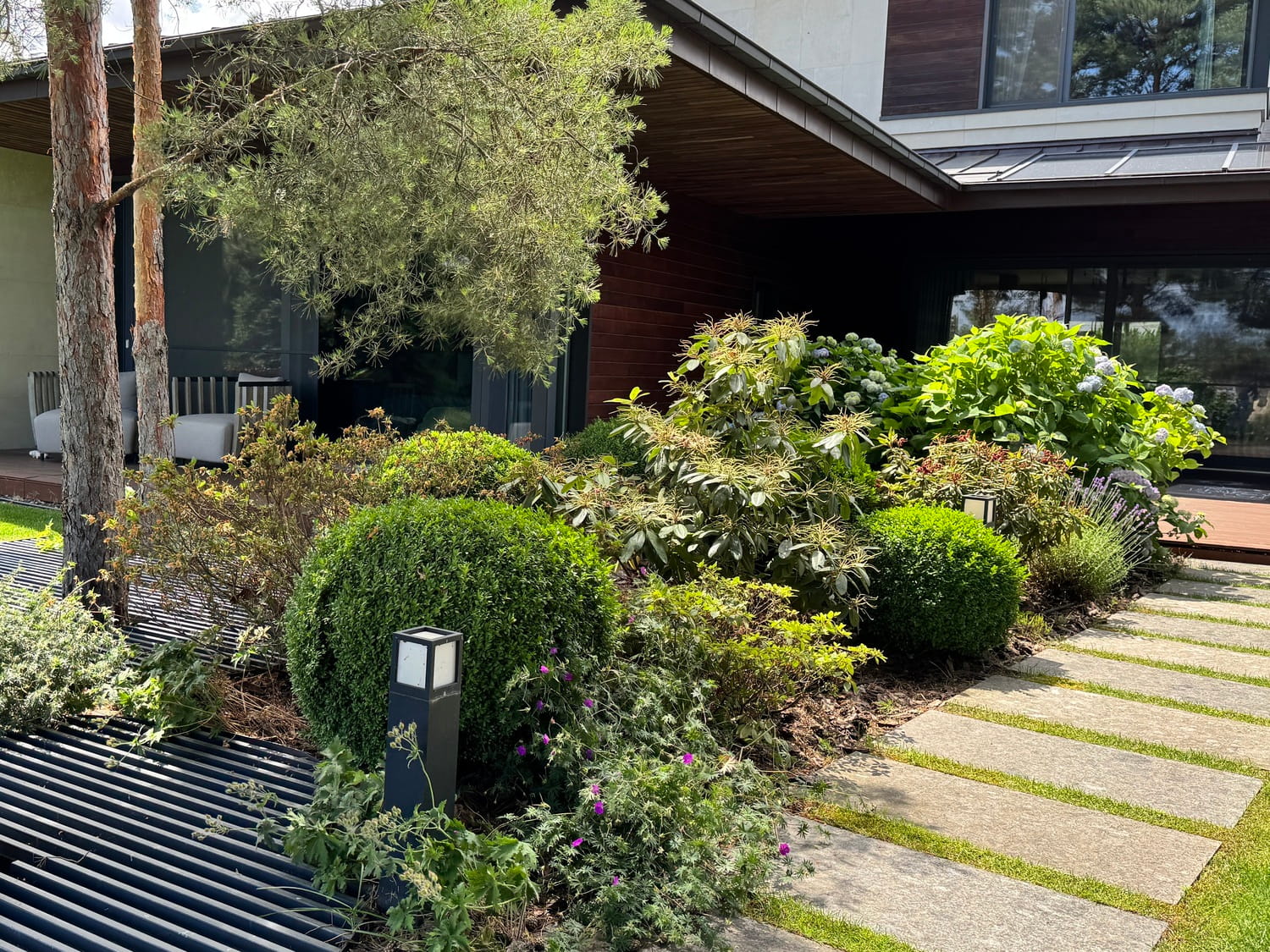 Композиція під соснами