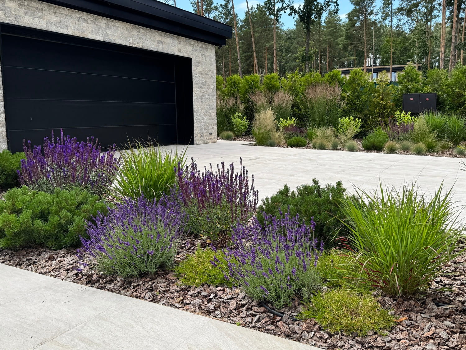 Вхідна зона саду