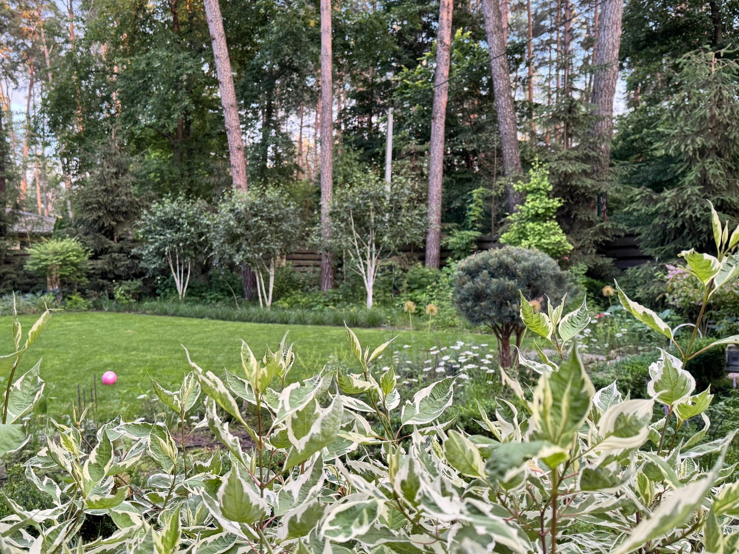 Современный сад 