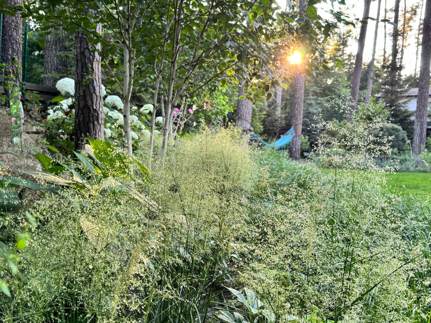 Зона відпочинку в саду