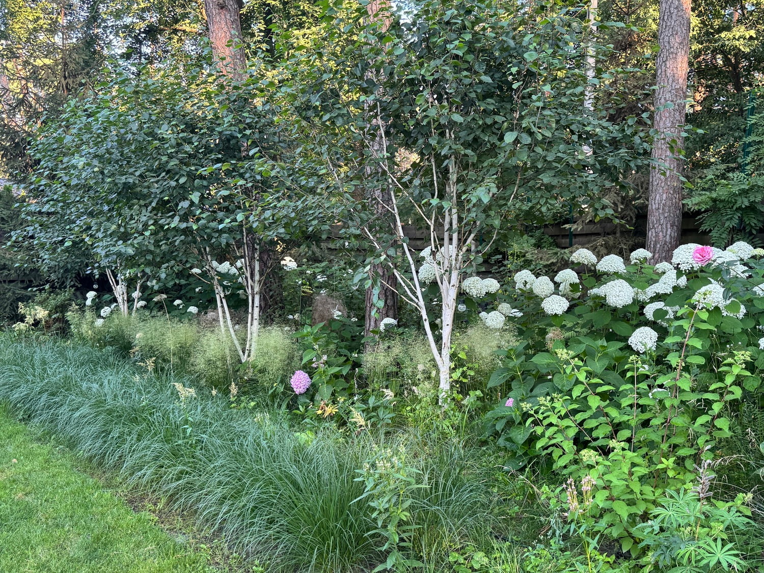 Камни в саду дизайн