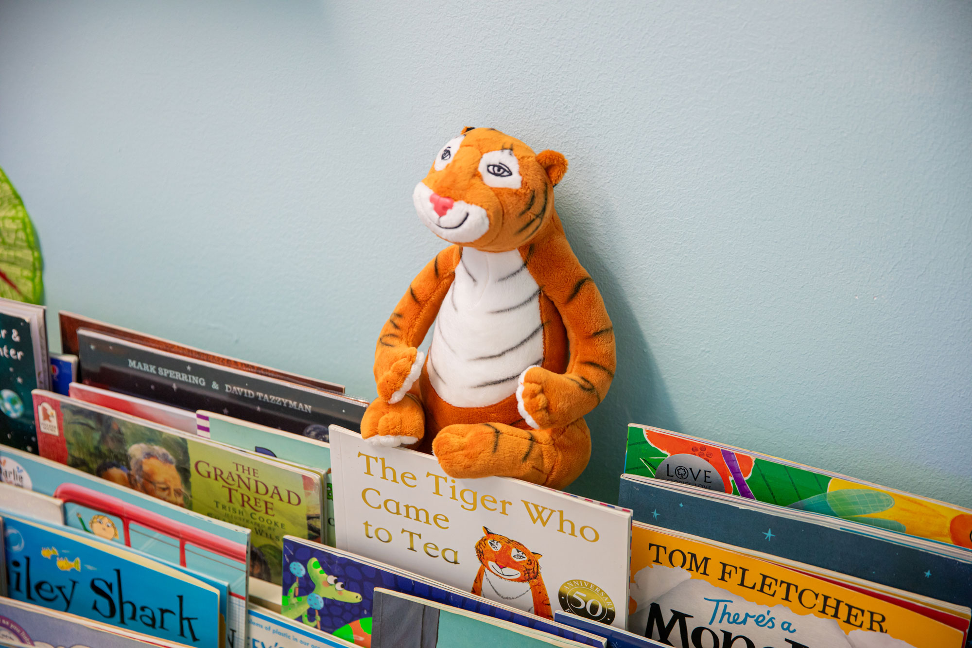 Orange and white plush tiger toy sitting on a shelf behind children's books including 'The Tiger Who Came to Tea'.