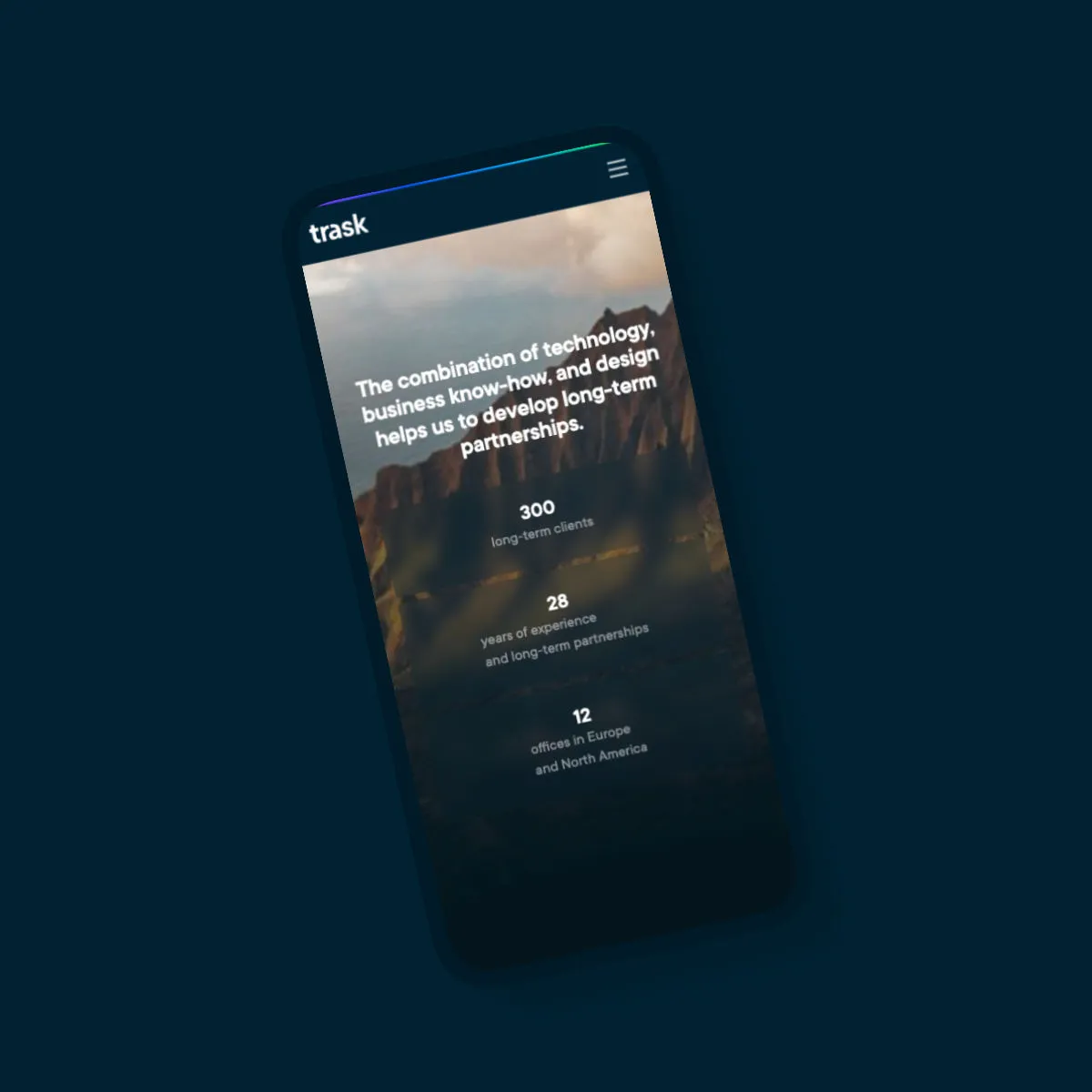 Website on a mobile device