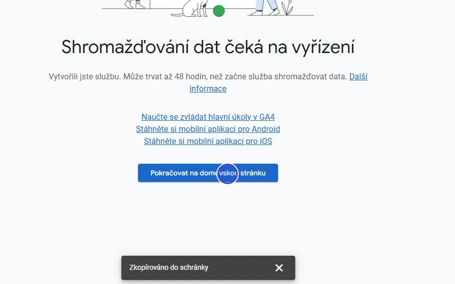 Krok 22: Klikněte na Pokračovat na domovskou stránku.
