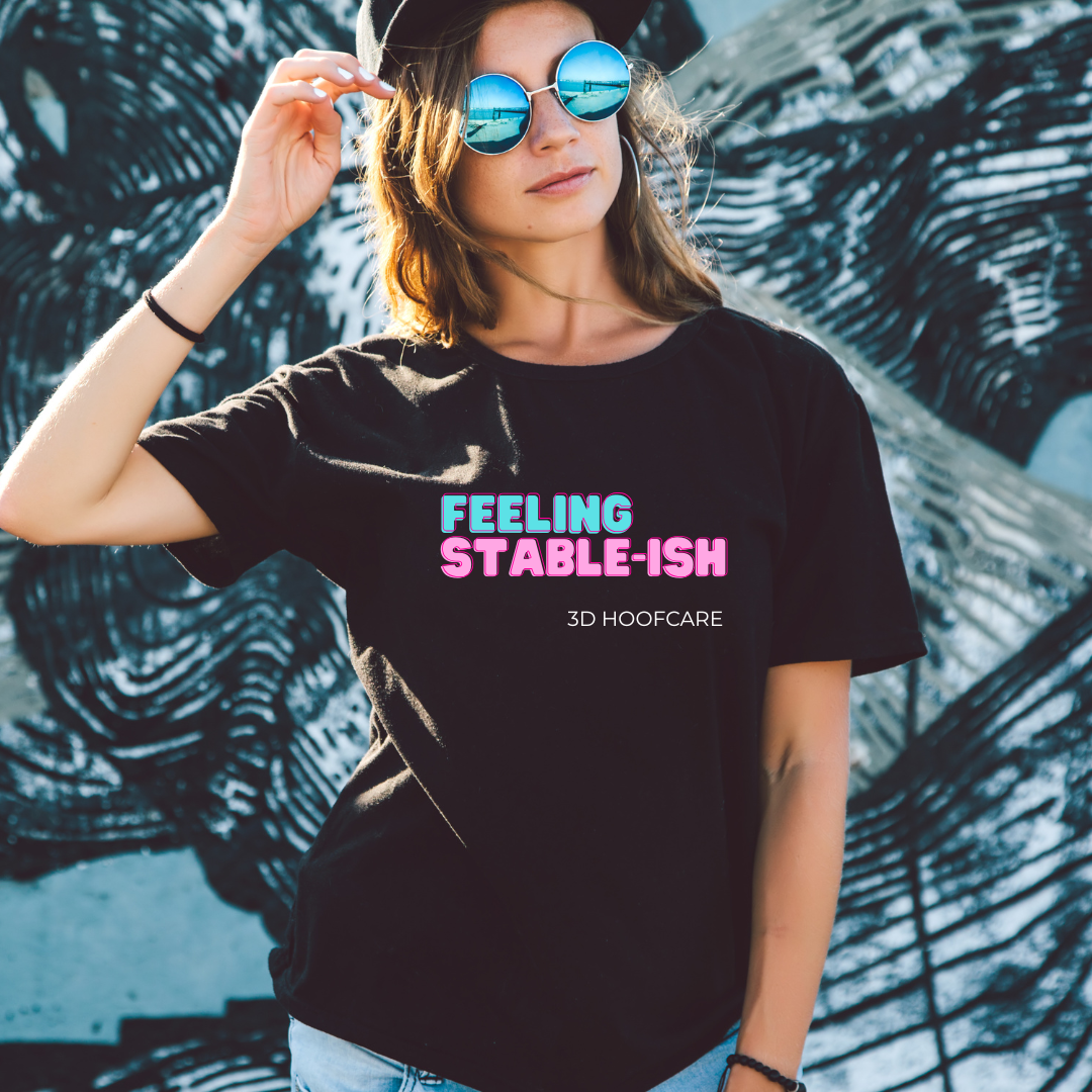 Feeling Stable-ish T-shirt Ladies