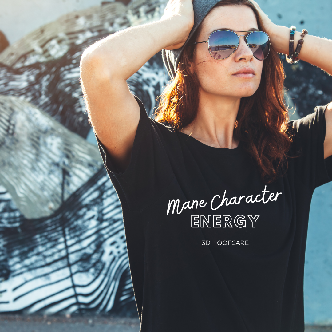 Mane Character Energy T-shirt Ladies