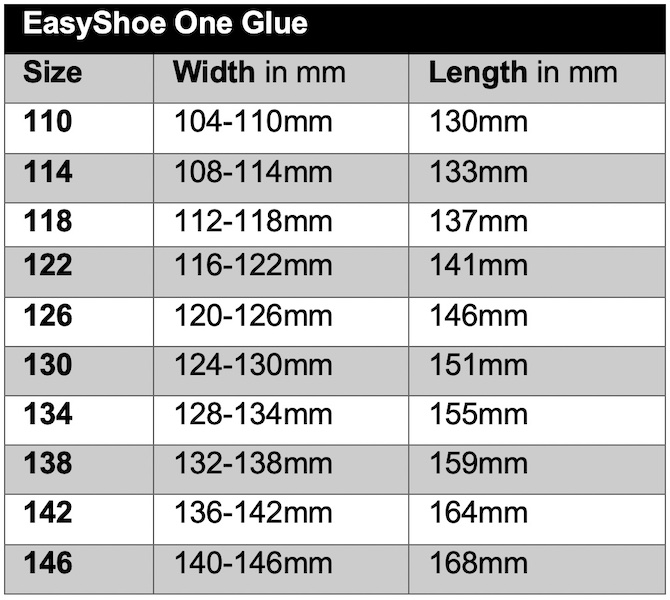 EasyShoe One