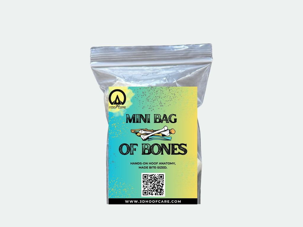 Mini Bag of Bones - Base Kit (no glue) 