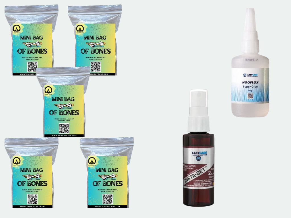 Mini Bag of Bones - Classroom/Clinic Pack