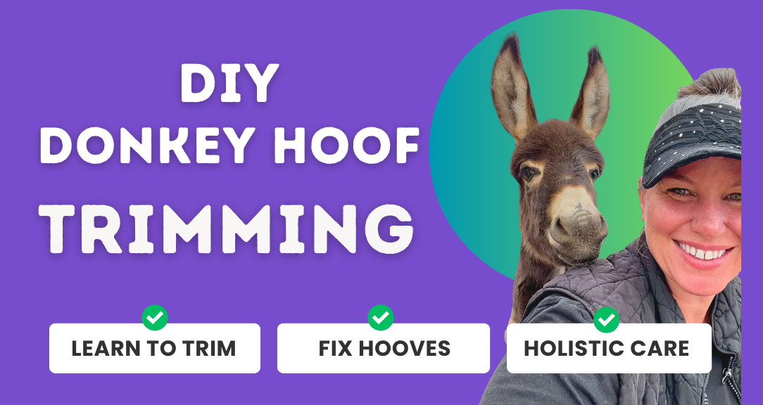 Megan Hensley's DIY Donkey Hoof Trimming