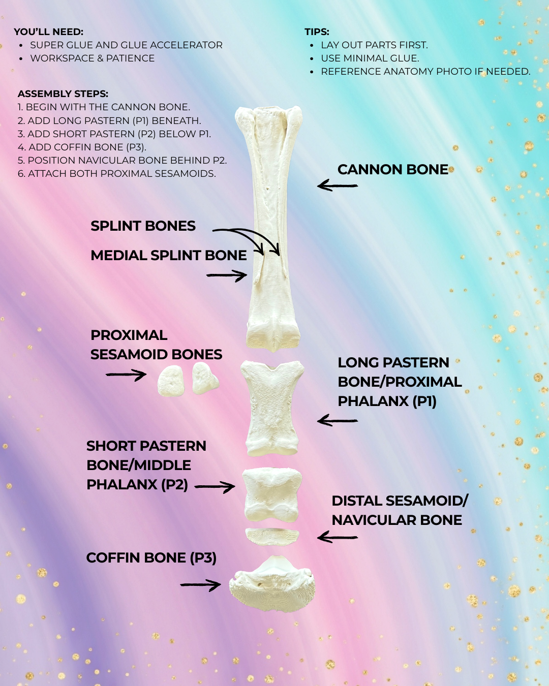 Mini Unicorn Bones - Base Kit (no glue)