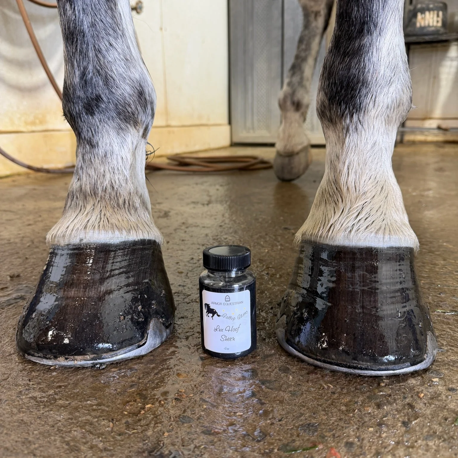 Lux Hoof Sheen Oil
