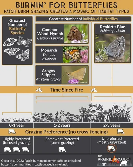 Burning for Butterflies