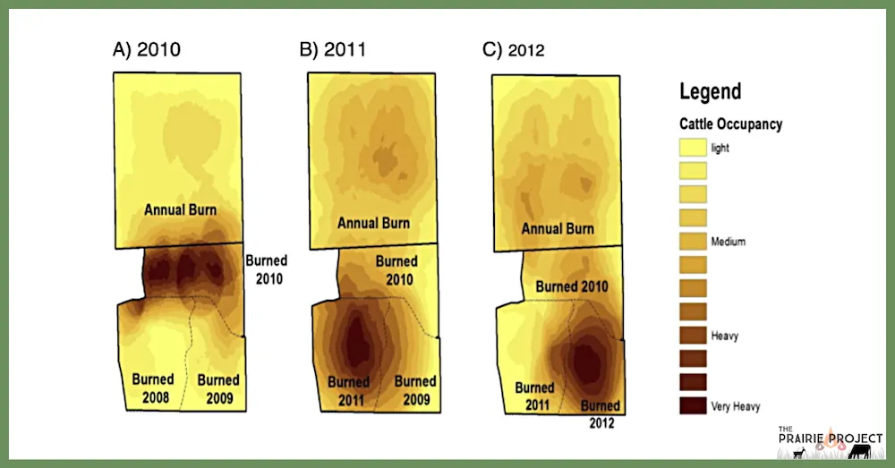 Pasture Use in Patch Burn v. Annual Burn