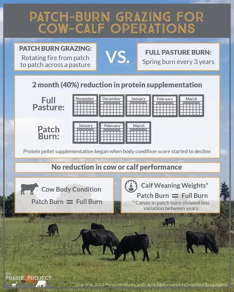 Patch Burn Grazing (Cow-Calf)