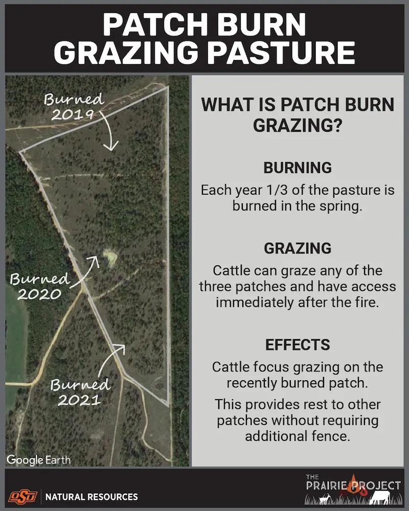 What is Patch Burn Grazing (Pushmataha)