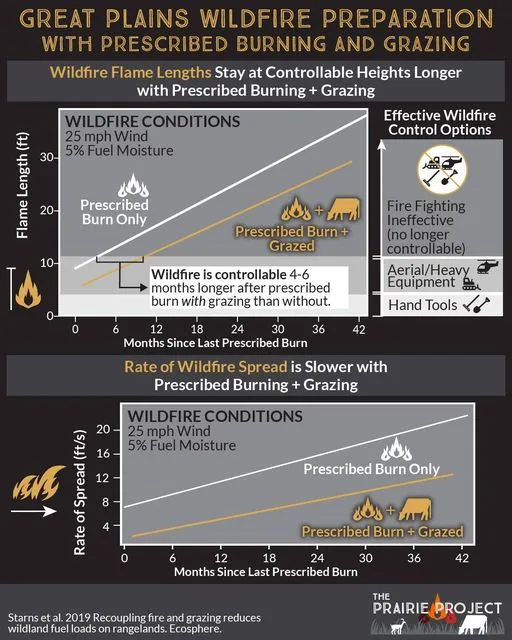 Wildfire and Grazing (Wildfire Mitigation)