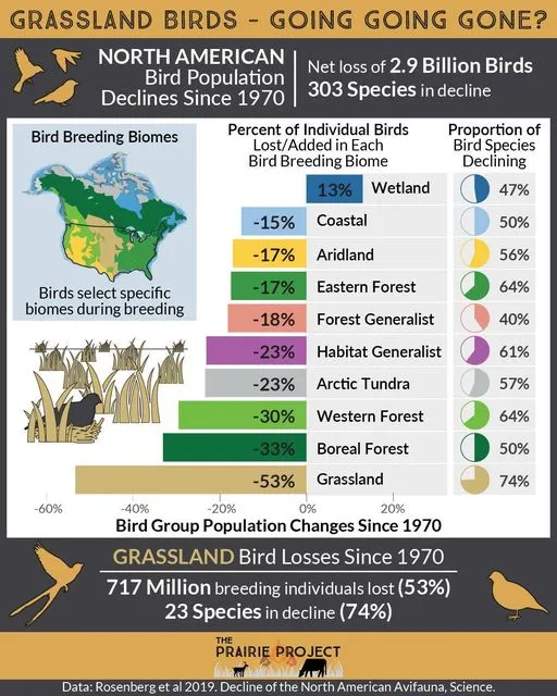 Grassland Bird Decline