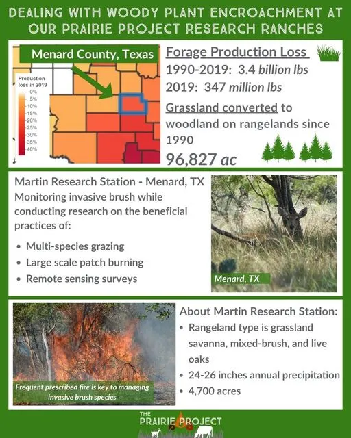 Woody Encroachment (Menard CO, TX)