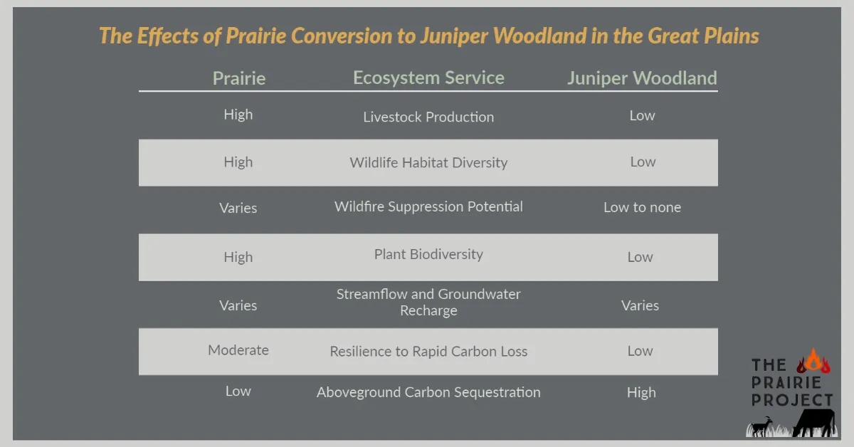 Prairie Conservation (Juniper Woodland)