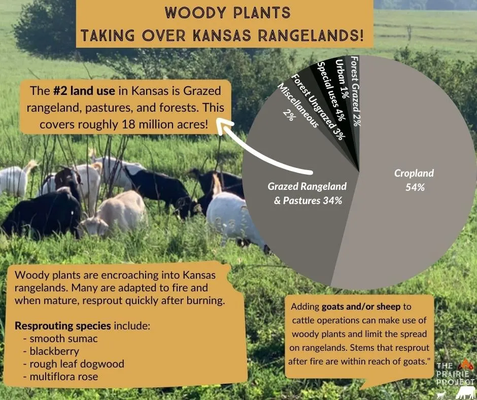 Land Use and Woody Encroachment (KS)