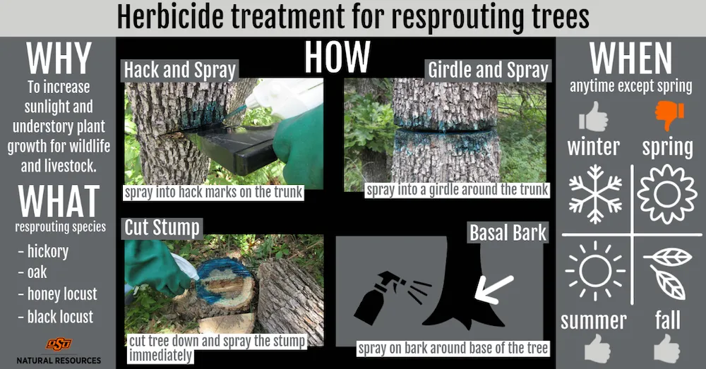 Herbicide Treatment