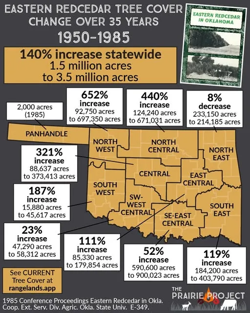 Eastern Red Cedar (Tree Cover Change Oklahoma)