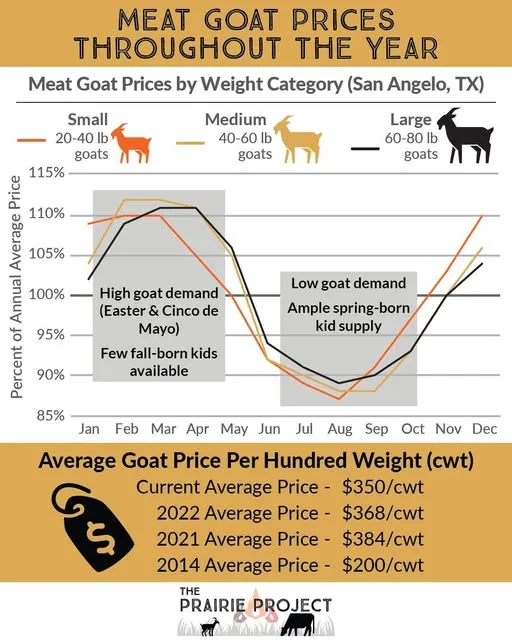 Meat Goat Prices