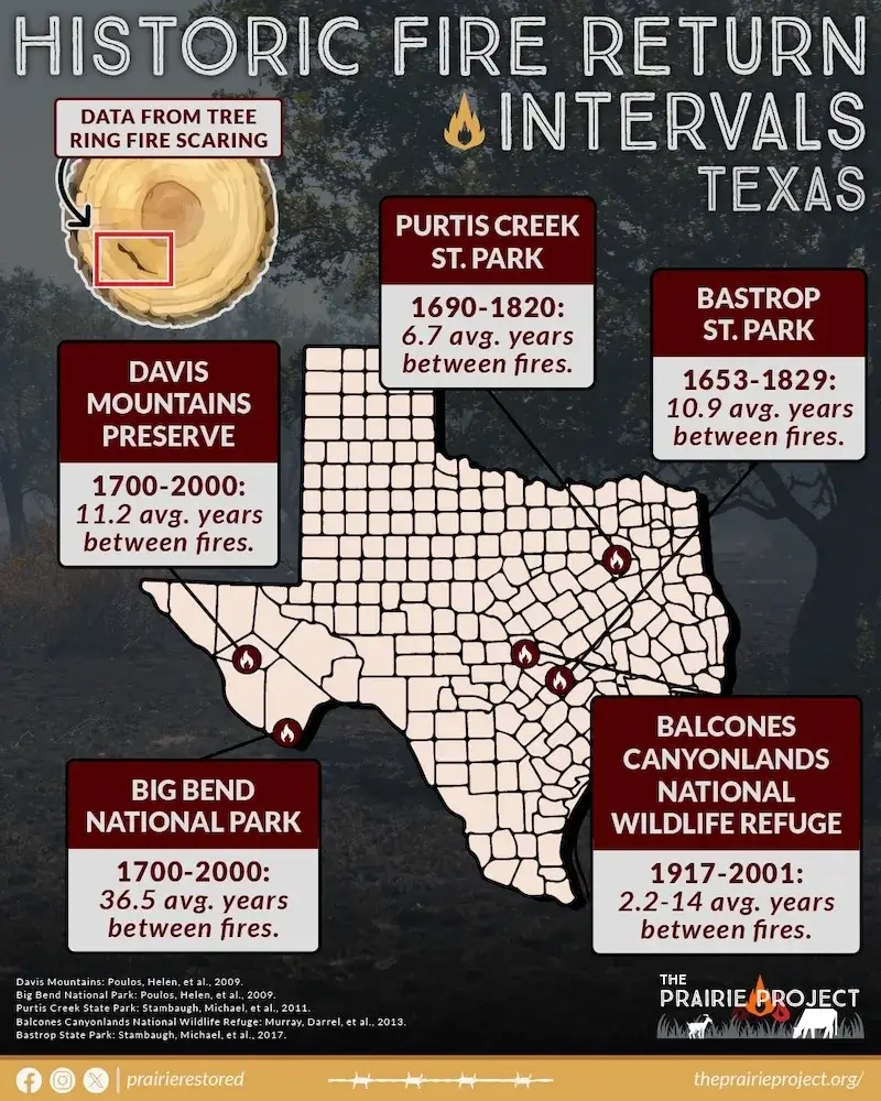 Texas Historic Fire Return Intervals