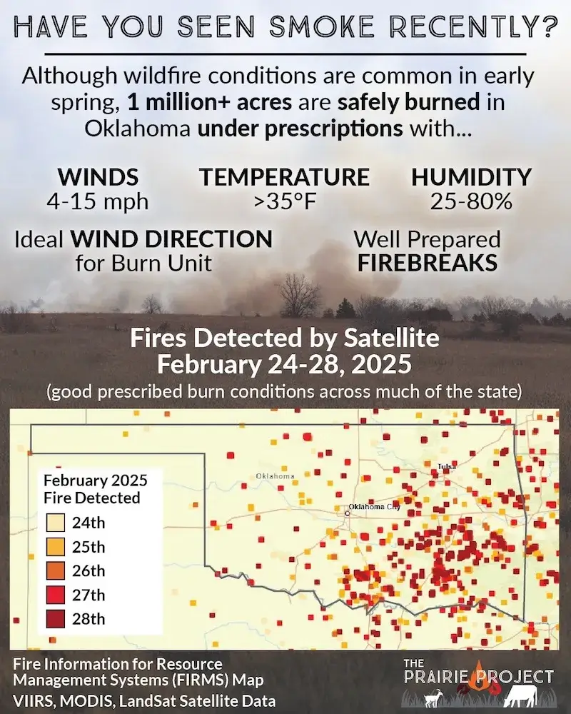 Have You Seen Smoke Recently?
