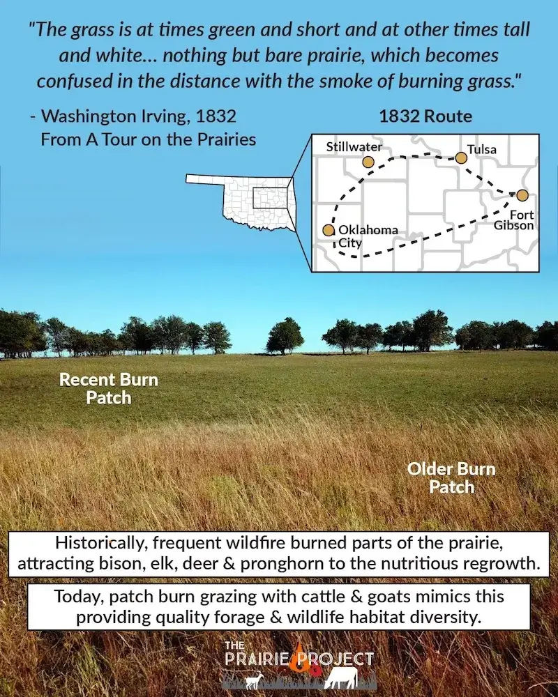 Washington Irving Quote