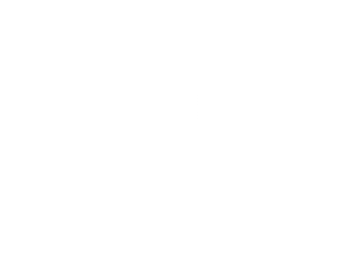 THE GEORGE WASHINGTON UNIVERSITY