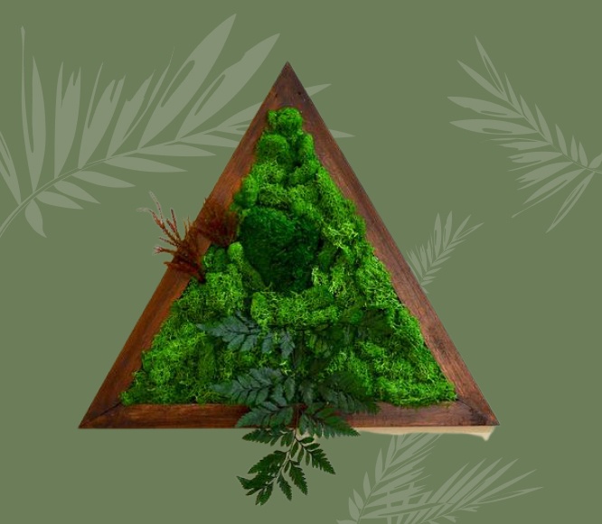 Moss frames