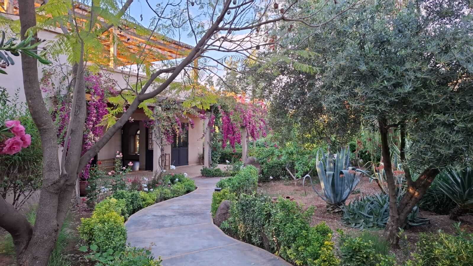 Garden pathway lined with green shrubs leading to a house entrance adorned with hanging pink bougainvillea flowers and surrounded by various trees and plants.