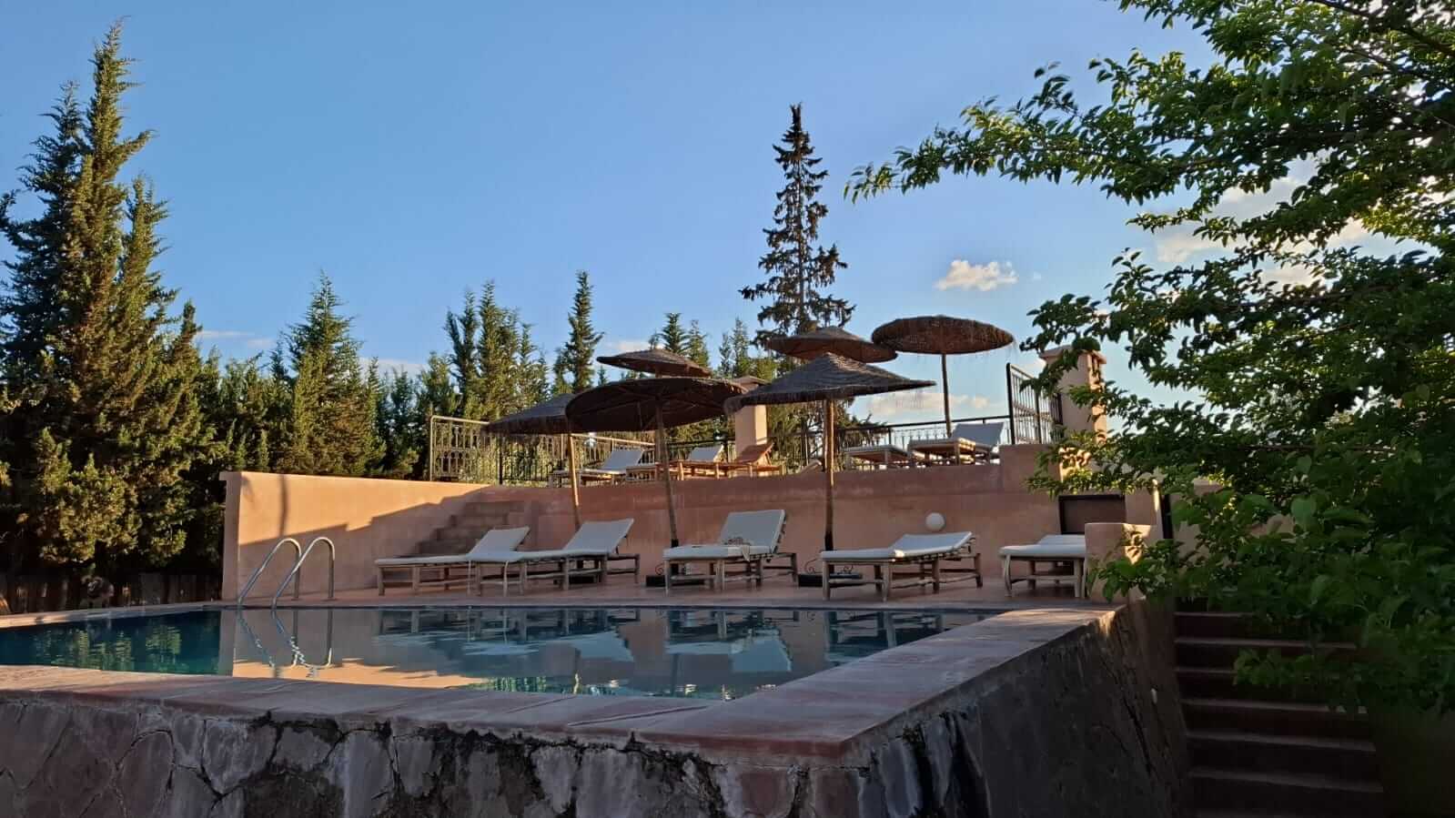 Outdoor swimming pool with lounge chairs and straw umbrellas surrounded by trees under a clear blue sky.
