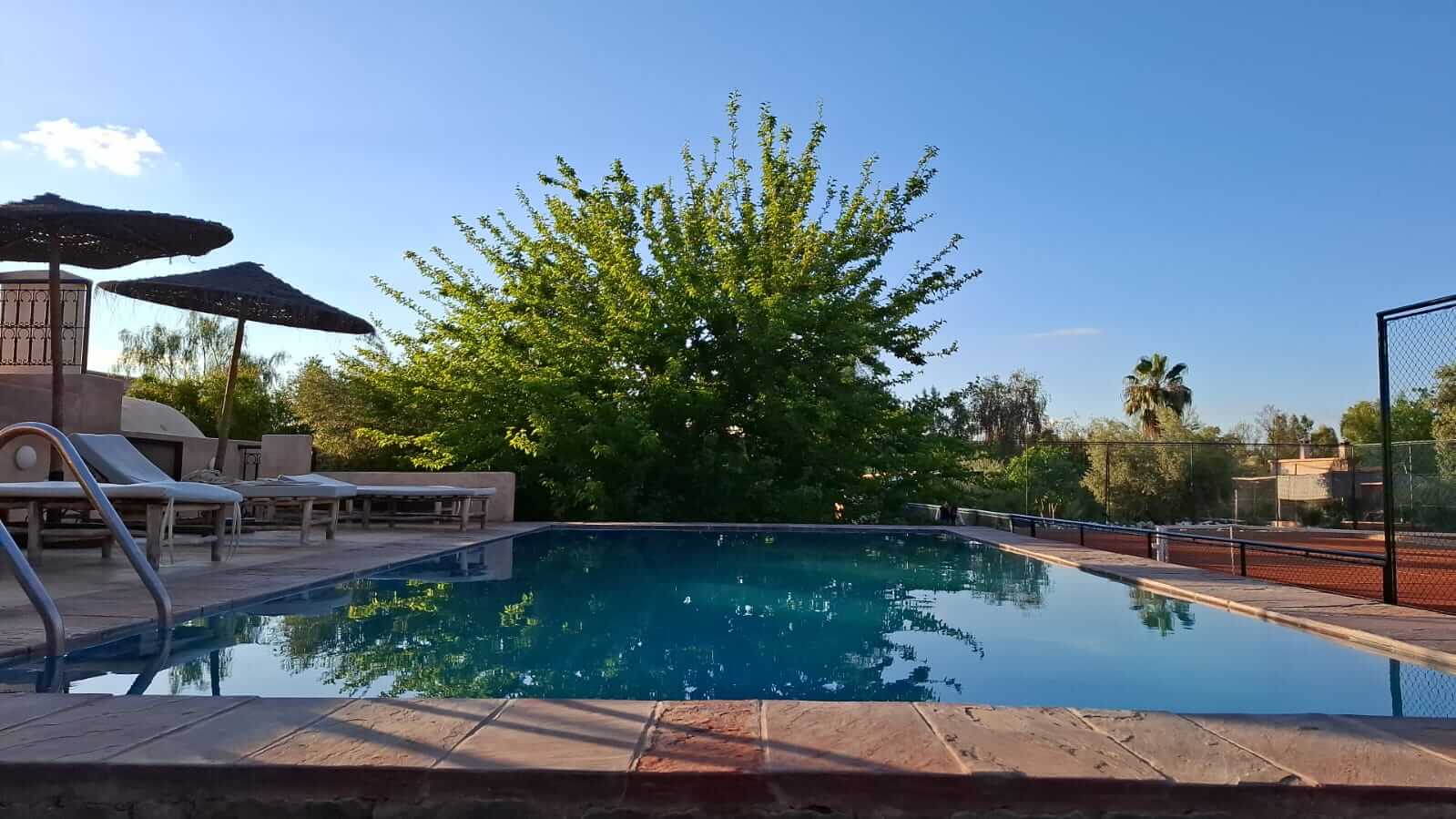 Outdoor rectangular swimming pool with lounge chairs and umbrellas on the left, a large leafy tree in the background, and a tennis court to the right under a clear blue sky.