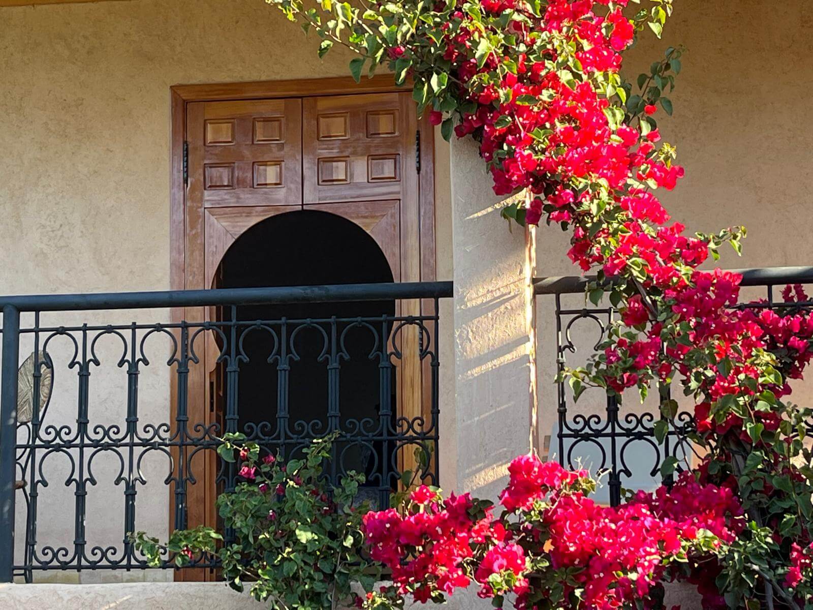 Wooden door with an arched dark window behind a black wrought iron balcony railing, framed by vibrant red bougainvillea flowers.