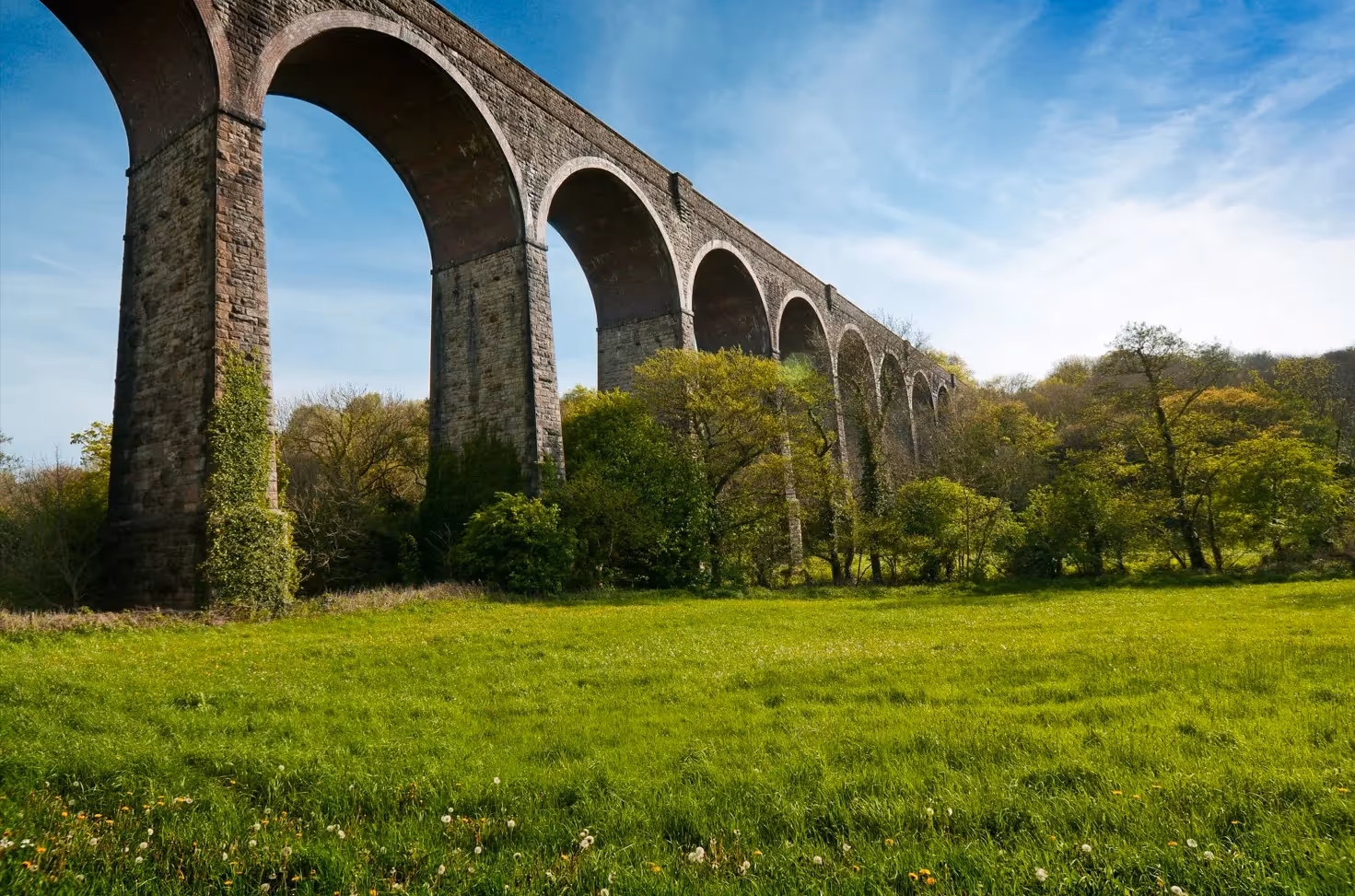 The best picnic spots in the Vale