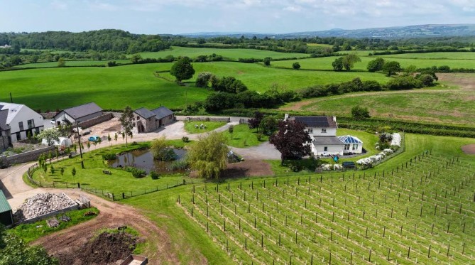 Argoed Barn and Vineyard - Entire Place