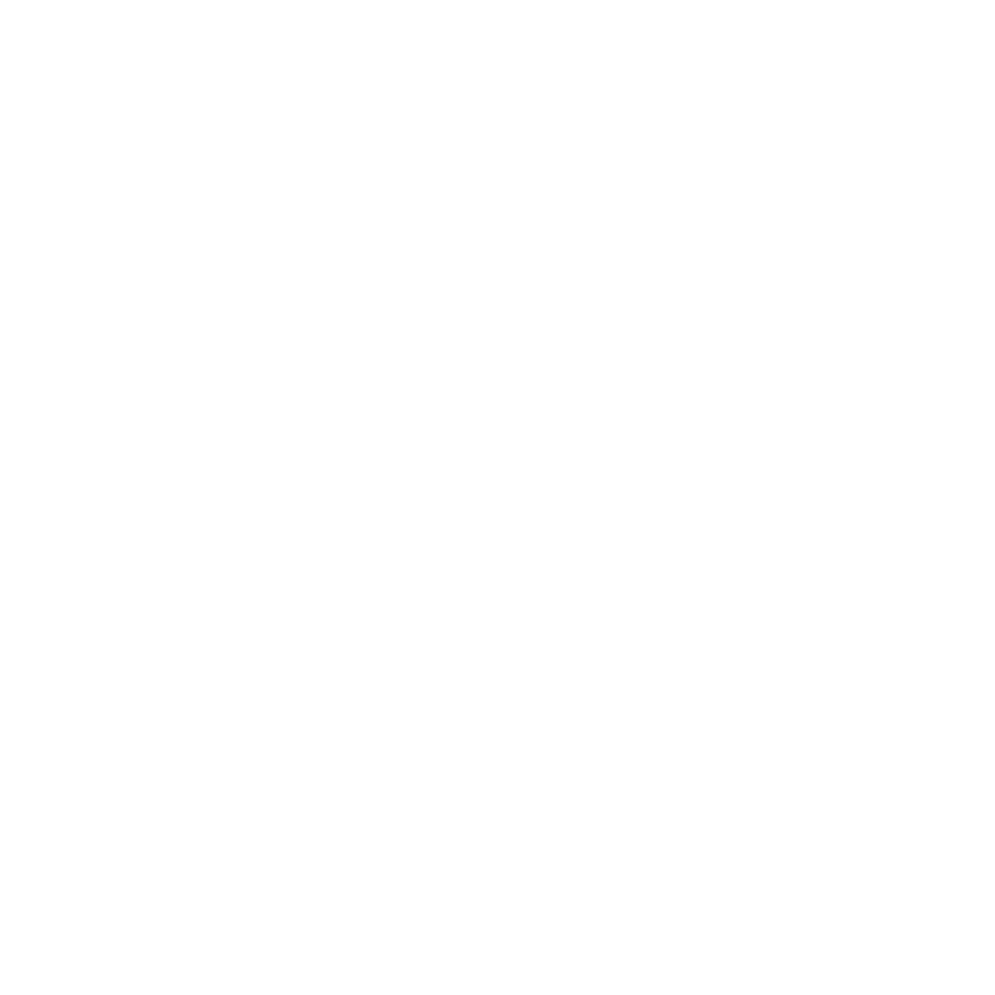 White NBC peacock logo and number 5 above the word Chicago