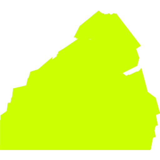 Kong logo