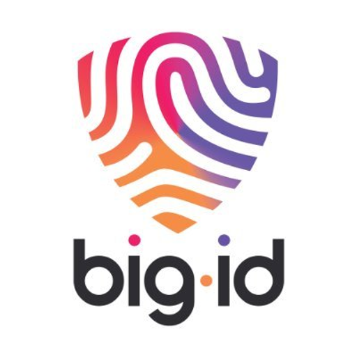 BigID logo