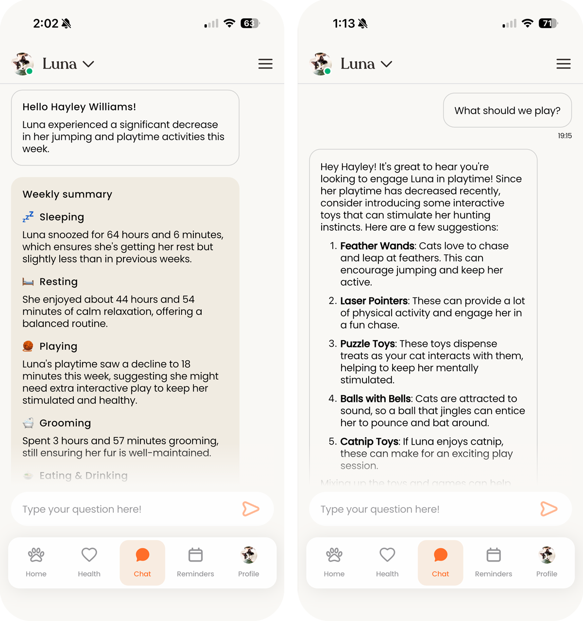 Two screenshots showing a summary of a cat's activities and a response to "What should we play".