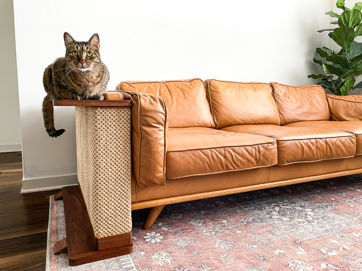 A cute brown tabby perched on the top of a Cat-e-Corner side table. 
