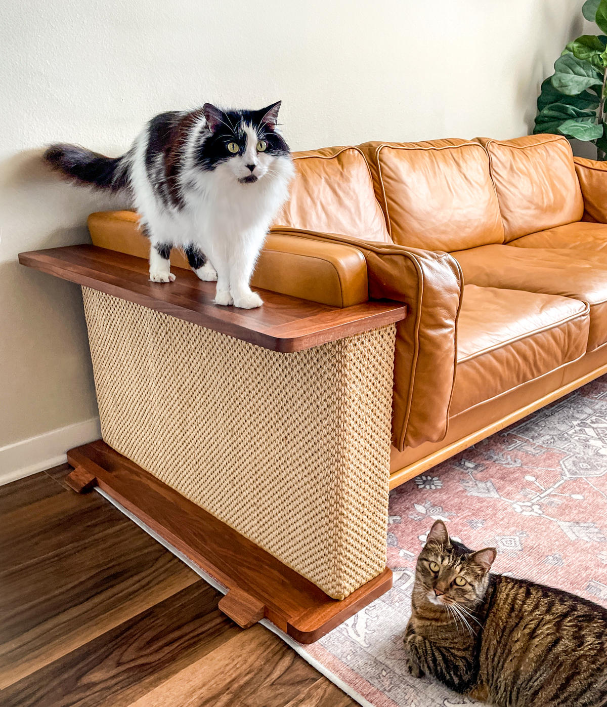 A black and white cat standing on the table top of the Cat-e-Corner with a brown tabby loafing at the base of the scratcher.