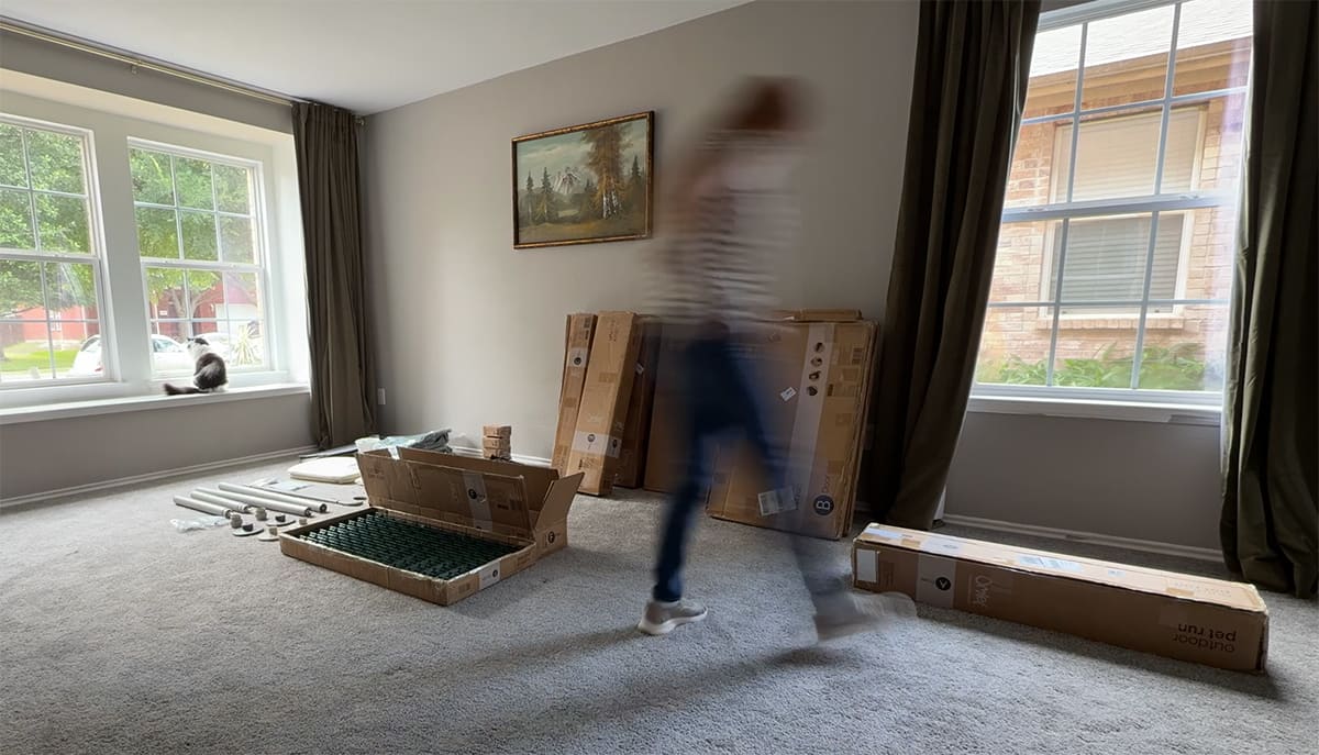 A blurred woman walking past cardboard boxes while a black and white cat sits on a window sill looking out the window.