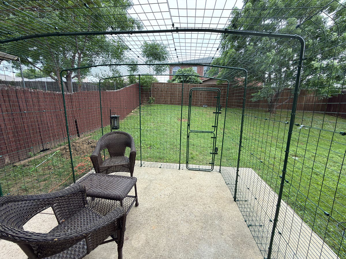 The inside of the finished Omlet catio frame with patio furniture in it.