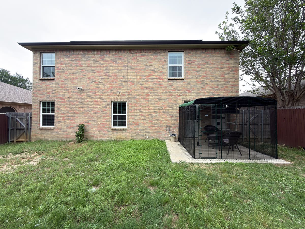 A full view of the back of the house and yard with the Omlet Catio installed.